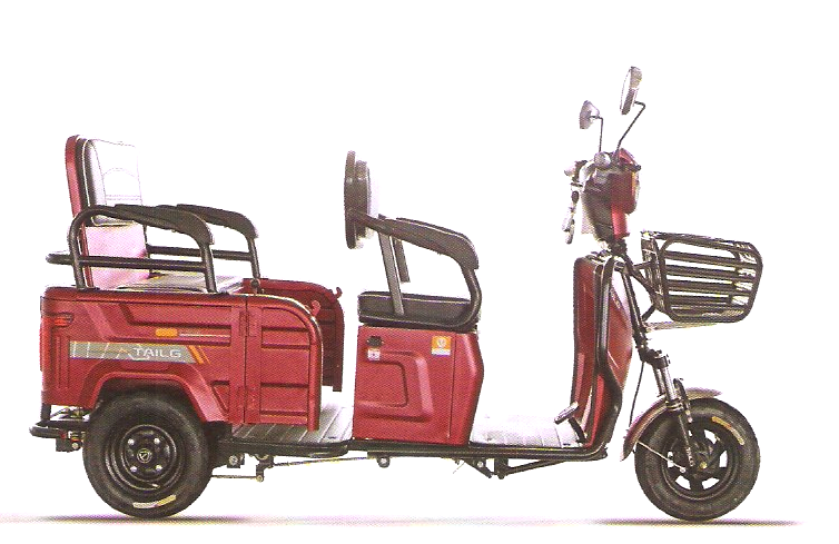 Scooter 500W Transporte de Passageiro